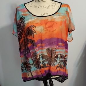 Bisou Bisou sheer tie front top.